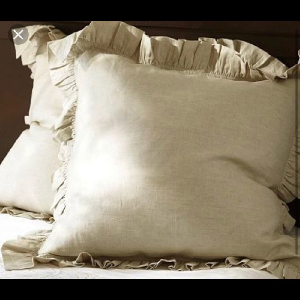2 Pottery Barn Euro Shams